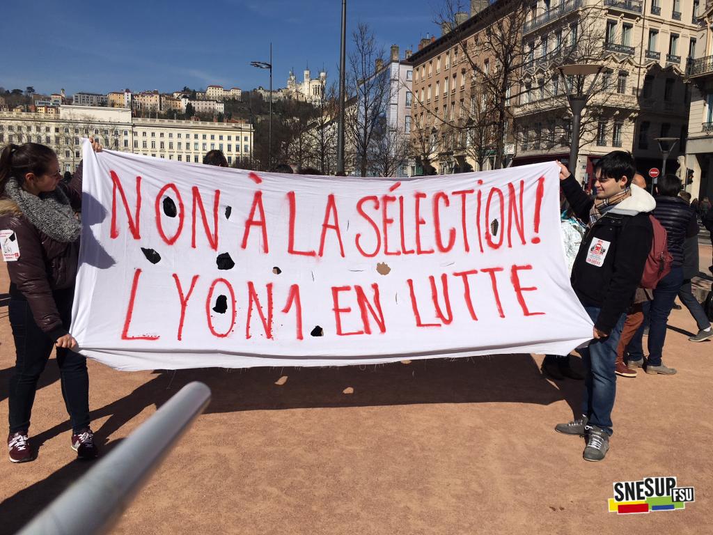Manifestation de la Fonction publique du 22 mars 2018 - Lyon - Anne Roger